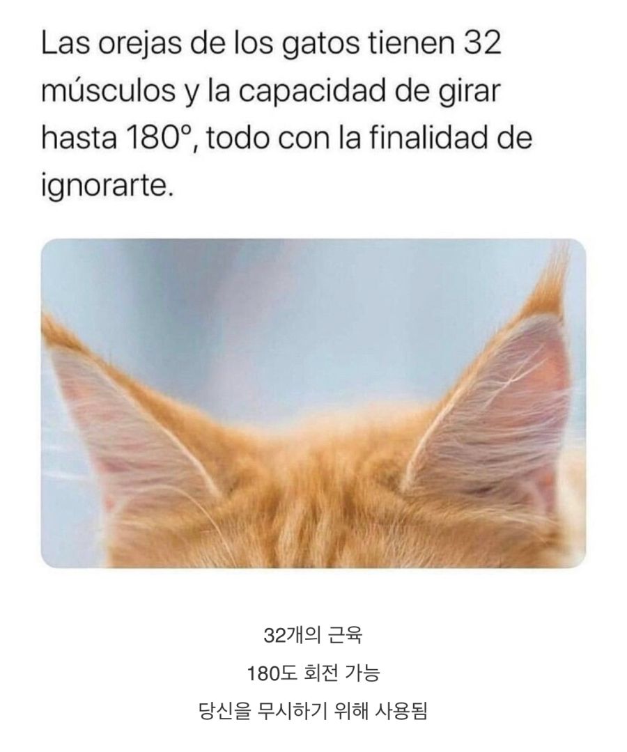 대환장 갤러리 tweet media