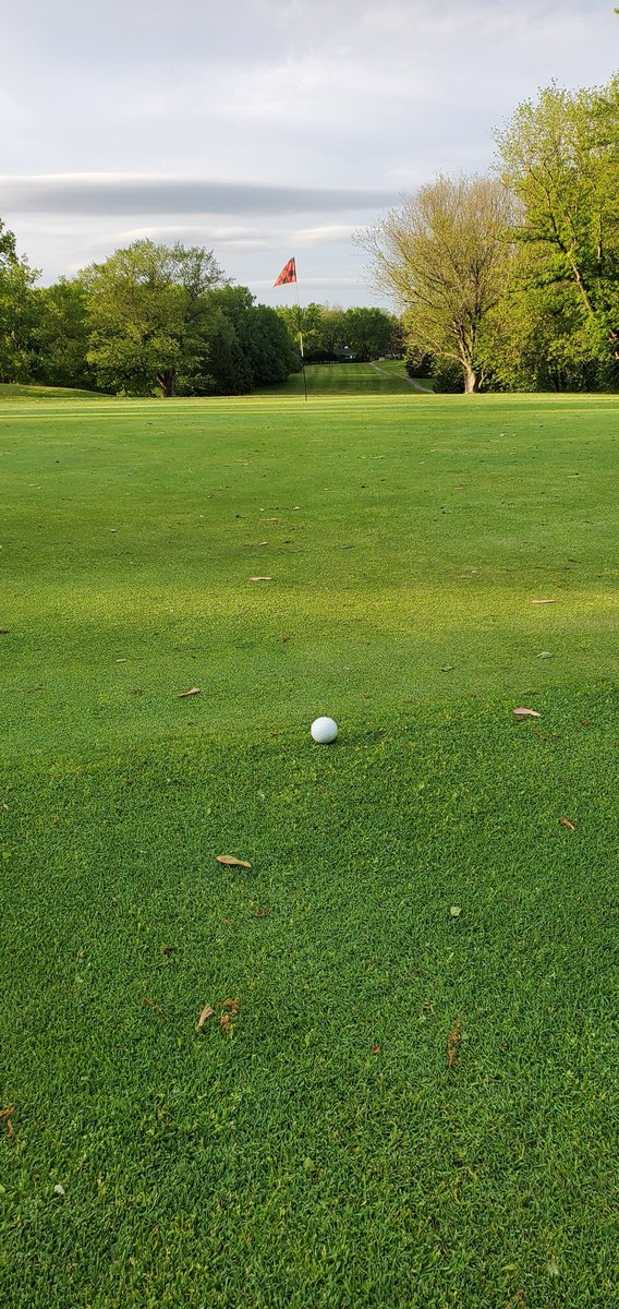 reddi518's tweet photo. Golf is fun when you get some lessons and don't completely suck. This is a chip for birdie. I ended with a par on this par 5 https://t.co/bBoqlH6Q6H