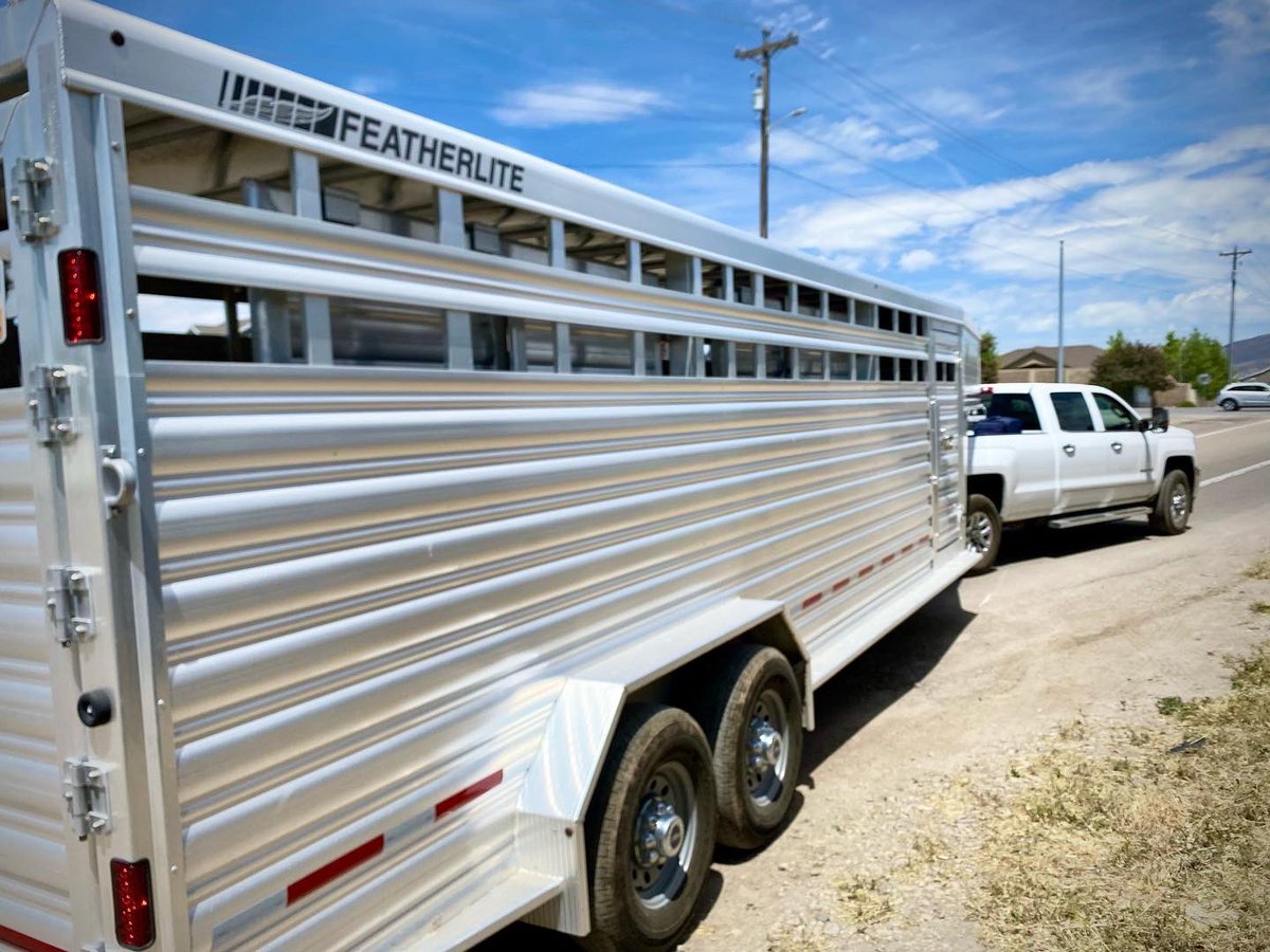 bushmancattle's tweet photo. Kinda overkill for one bull but we’re off to Iowa and @matt_lautner to pick up our spring lease Kearney Man! Excited for this clean up bull! It was hard to even AI them this year! #showbull #displaybull #newTHFreebull https://t.co/DUTW8moYZw