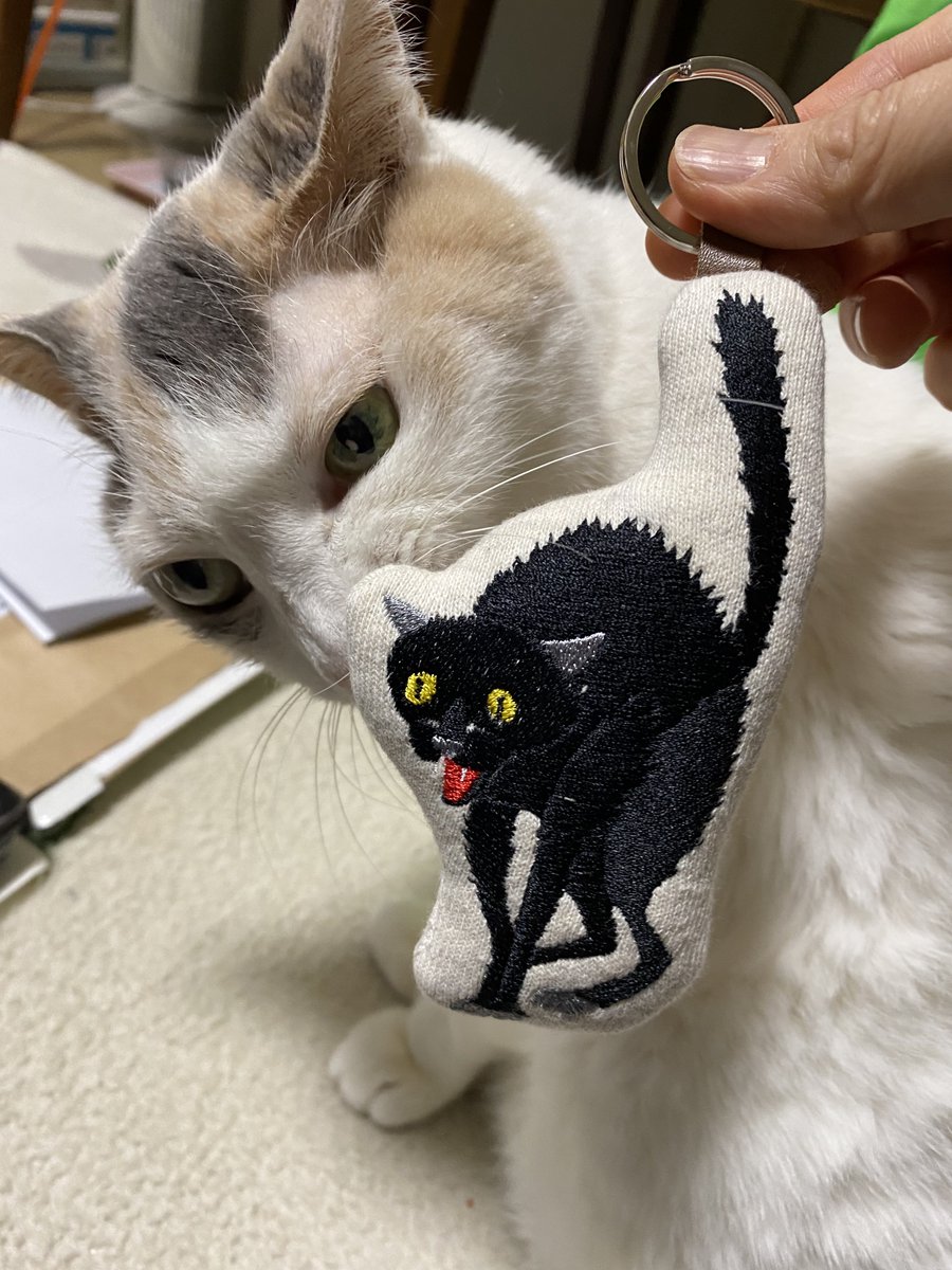 ganchan_'s tweet image. 控えめに言っても最高のキーホルダー届いた！
#slowth
