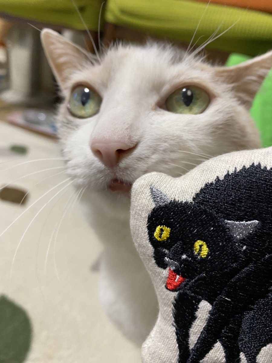 ganchan_'s tweet image. 控えめに言っても最高のキーホルダー届いた！
#slowth