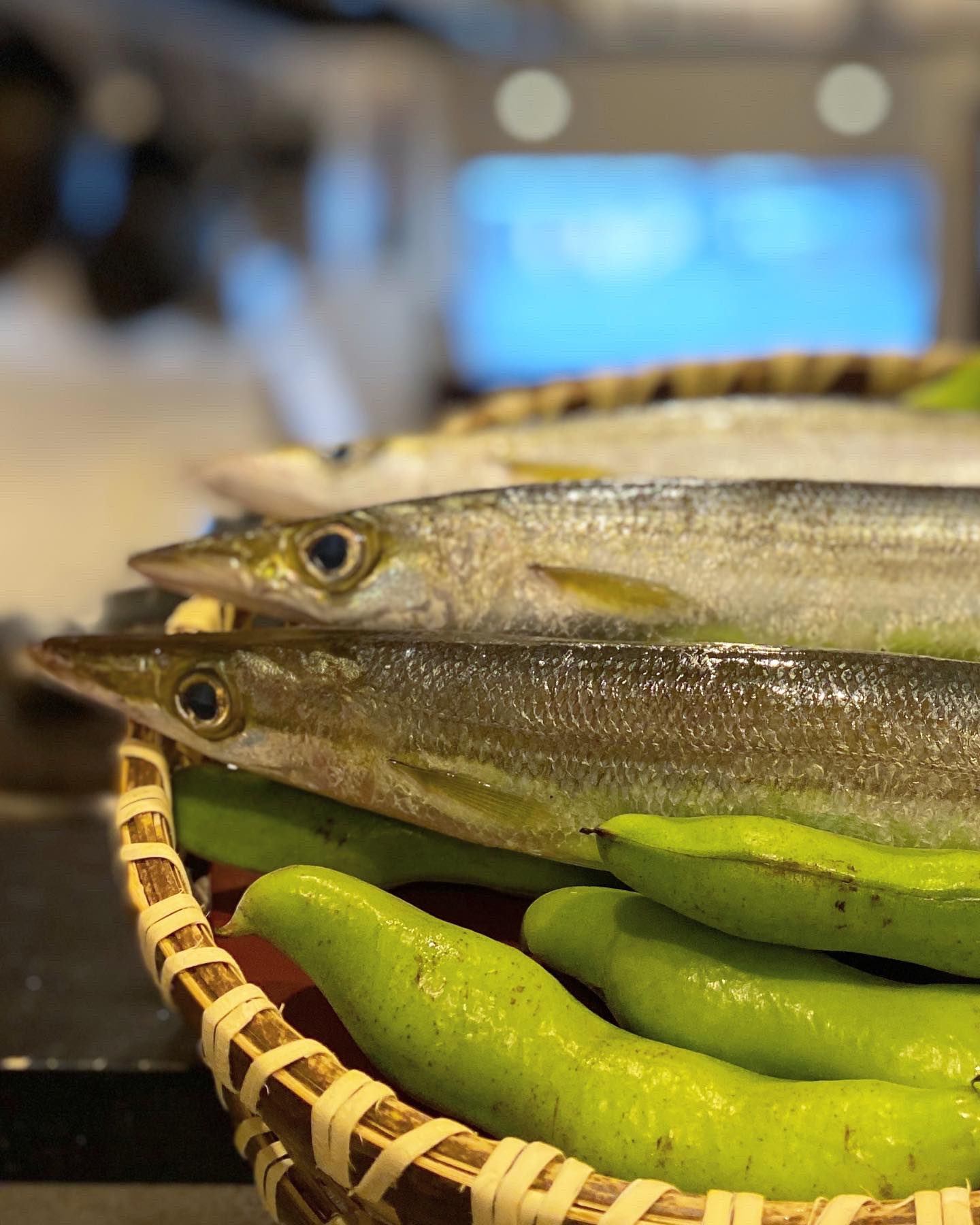 天ぷら まさる 今日も元気にオープンしました 朝から店内は香ばしい香りが 昆布締めにしたカマスを炙っています 天ぷらも アスパラガスや新生姜の豚肉巻きなどおすすめです 皆さまのご来店をお待ちしております T Co Ypbepmwdr1 Twitter