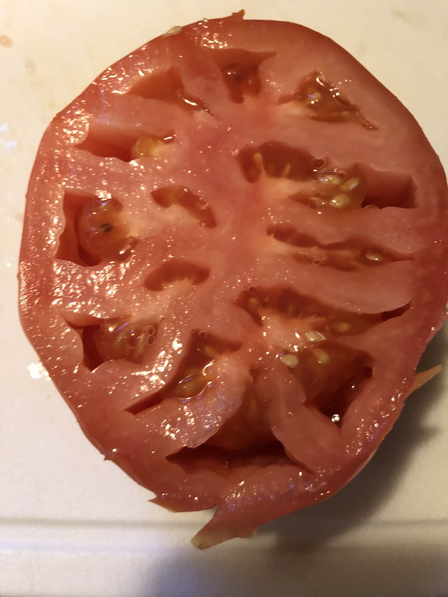 You look at something long enough, and you kind of have a paranoid mind, eventually everything looks like it.