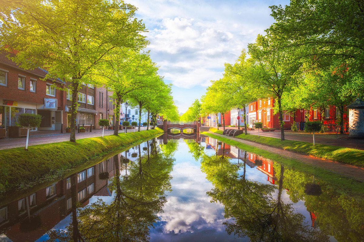 PEFC_NL's tweet photo. ๐ Een groene omgeving wordt spontaan geassocieerd met positieve gezondheidseffecten. Lees meer: https://t.co/3va5xomlLo
#PEFC #GroeneGeheimen #BomenBuitenHetBos #BBB #Stadsbomen https://t.co/M4vicZOH90