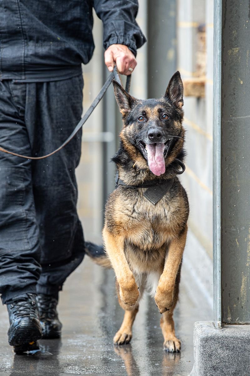 erinregorla tweet media