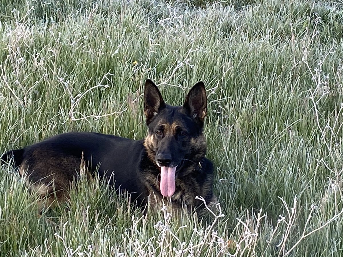 erinregorla tweet media