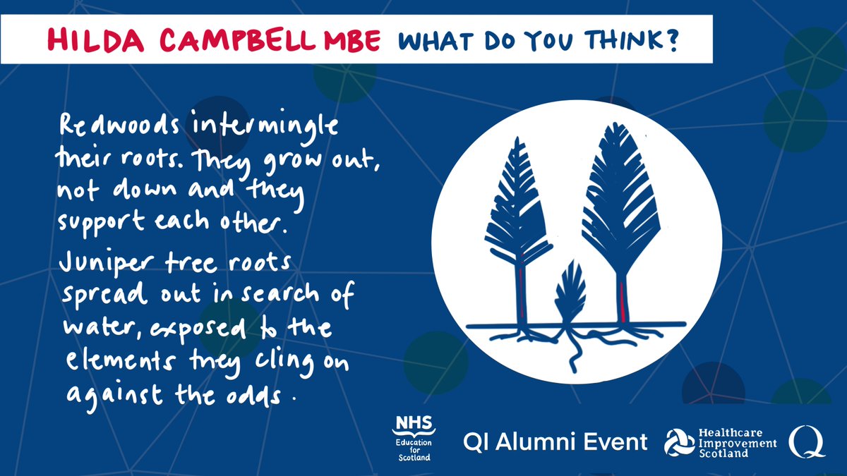 Hazel White (she/her) (@hazelonewhite) on Twitter photo QI Networks with Hilda Campbell <a href="/COPEScotland/">COPEScotland</a>. What trees tell us about networks. Redwoods intermingle their roots. Growing out, not down they support each other. Juniper roots spread out in search of water, exposed to the elements they cling on against the odds. #QIAlumni22 QI Networks with Hilda Campbell <a href="/COPEScotland/">COPEScotland</a>. What trees tell us about networks. Redwoods intermingle their roots. Growing out, not down they support each other. Juniper roots spread out in search of water, exposed to the elements they cling on against the odds. #QIAlumni22