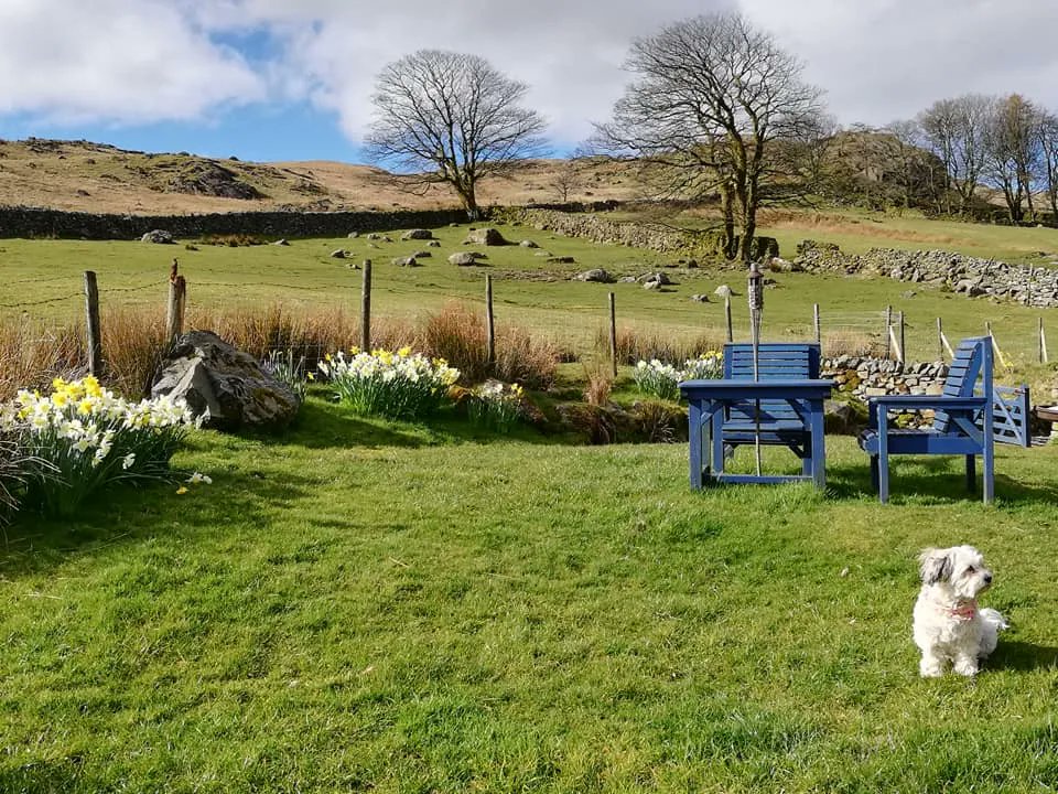 WeAcceptPets's tweet image. 🗨️"A beautiful place to stay, amazing views, wonderful hosts, and so many places close by to visit, Bertie the Boxer loves staying at Woodend. We will be going back."
weacceptpets.co.uk/Cumbria/1587
#Ulpha #BroughtoninFurness #Cumbria #SelfCatering #PetsWelcome #GuestReview #Quiet