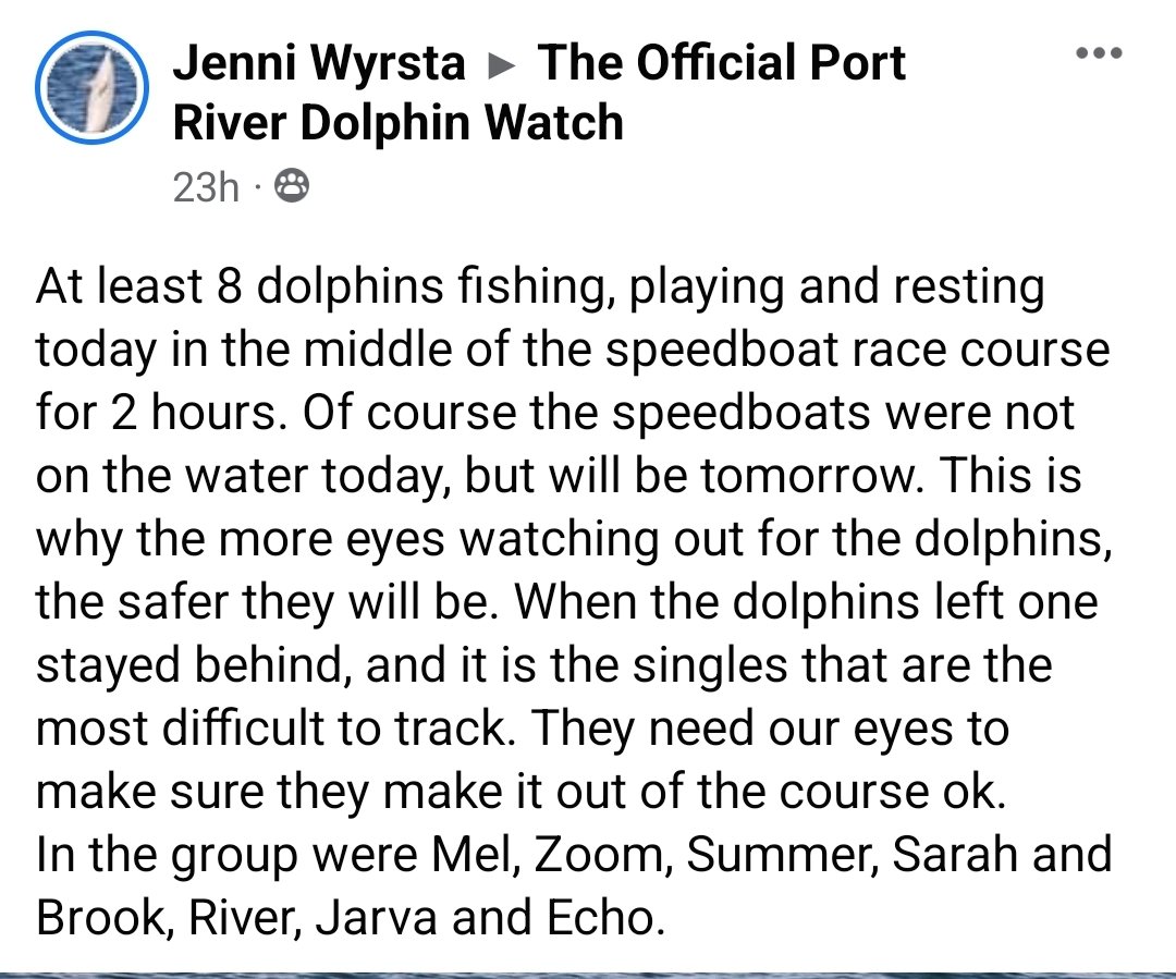 Cshells33Wells's tweet photo. Happening NOW in a DOLPHIN SANCTUARY!
PORT RIVER DOLPHINS AT RISK
@abcnews
@SevenNetwork
@PastroMatt
@guardiannews
@AustralianLabor
@alpsa
@PMalinauskasMP 
This is an affront!
#DOLPHIN 
@CityofAdelaide @CityofPAE https://t.co/GpDJjxRsWl