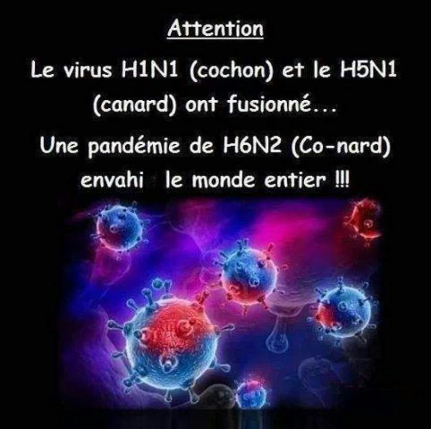 AnneIbiza13's tweet photo. https://t.co/Xh3S1HiC15