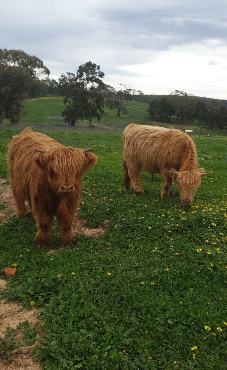 BeaneyChris tweet picture