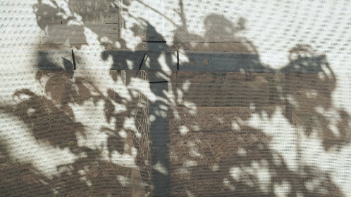 Coming up at ACE: Allison Chhorn's 'Skin Shade Night Day'.⁠ Chhorn is the 2022 recipient of the Porter Street Commission – ACE’s annual award supporting new artwork commissions by South Australian artists.⁠

4 June – 13 August 2022⁠