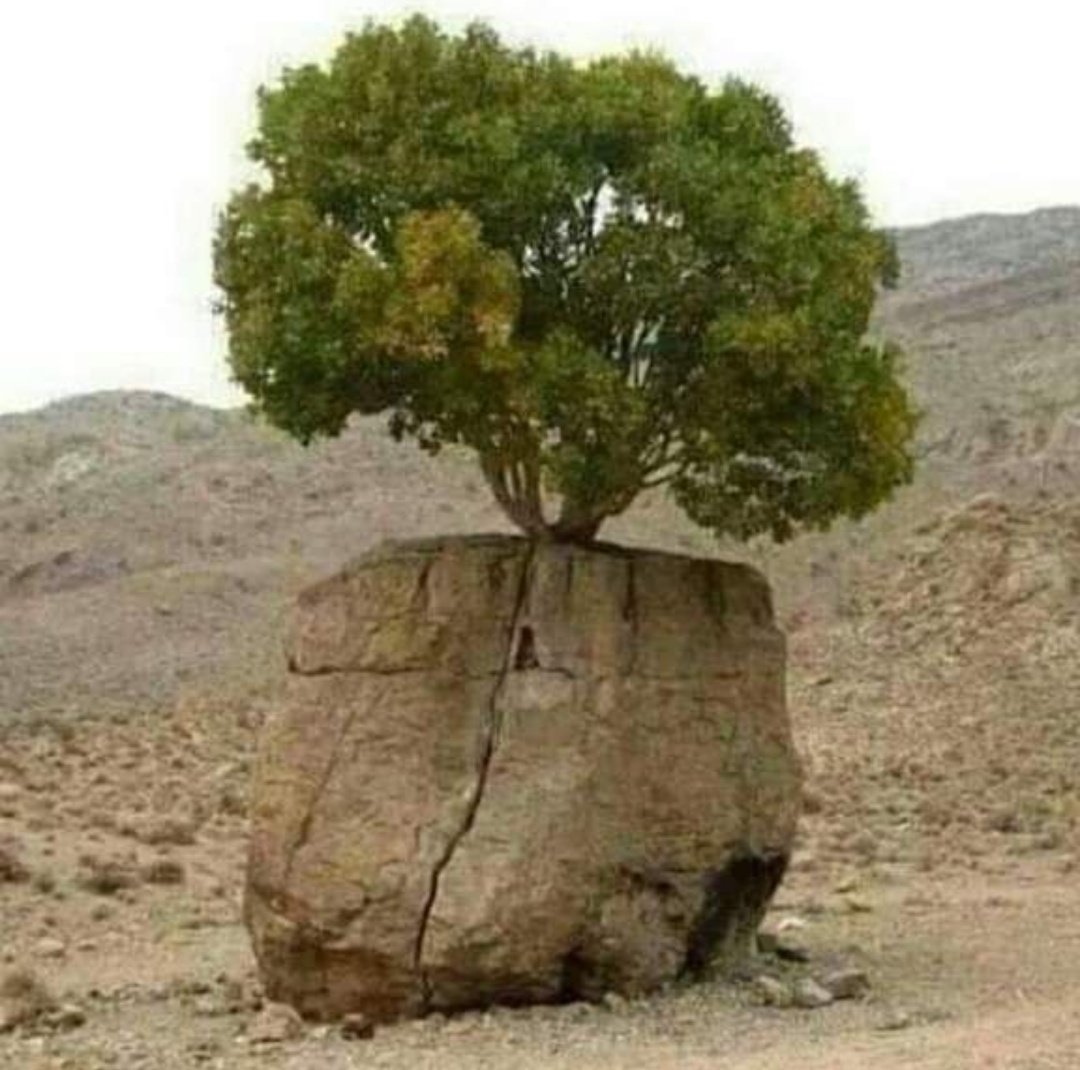 मान लो तो हार, ठान लो तो जीत..!