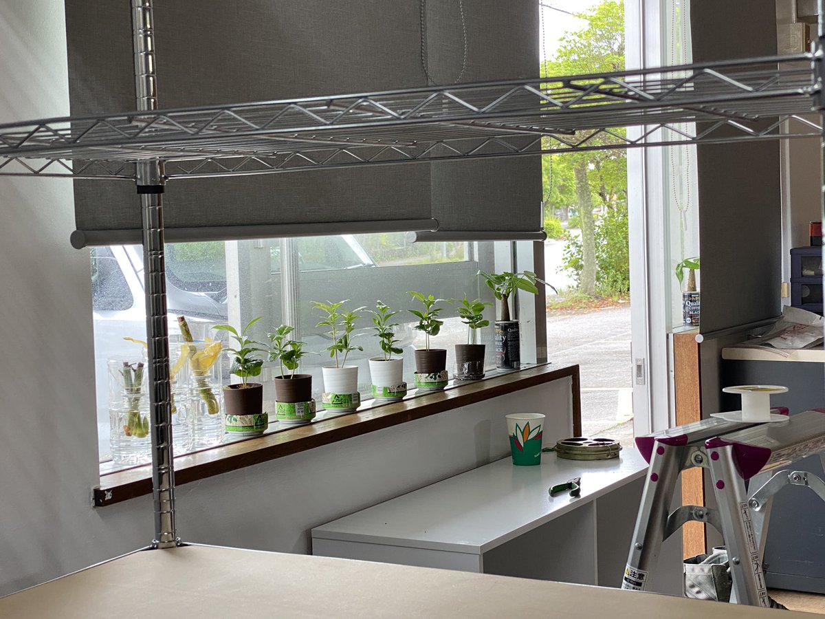 植木屋マーコーズ