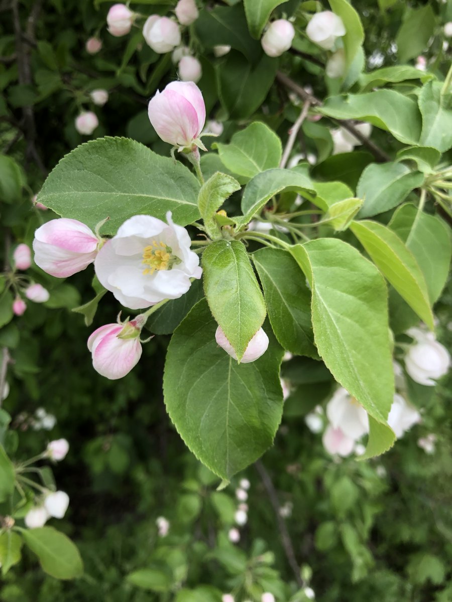 Hei sinä 9-10- vuotiaan tytön vanhempi! Osaako lapsesi uida? Pinnalla-hankkeen 9-10-vuotiaiden tyttöjen uimaopetusryhmään mahtuu vielä kolme uimaria. Uimaopetus starttaa Keski-Espoon uimahallin terapia-altaassa 6.7.2022. 

Lisätiedot ja ilmoittautuminen: fimu.org/?x271212=11583…