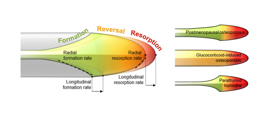 eCM Journal tweet media