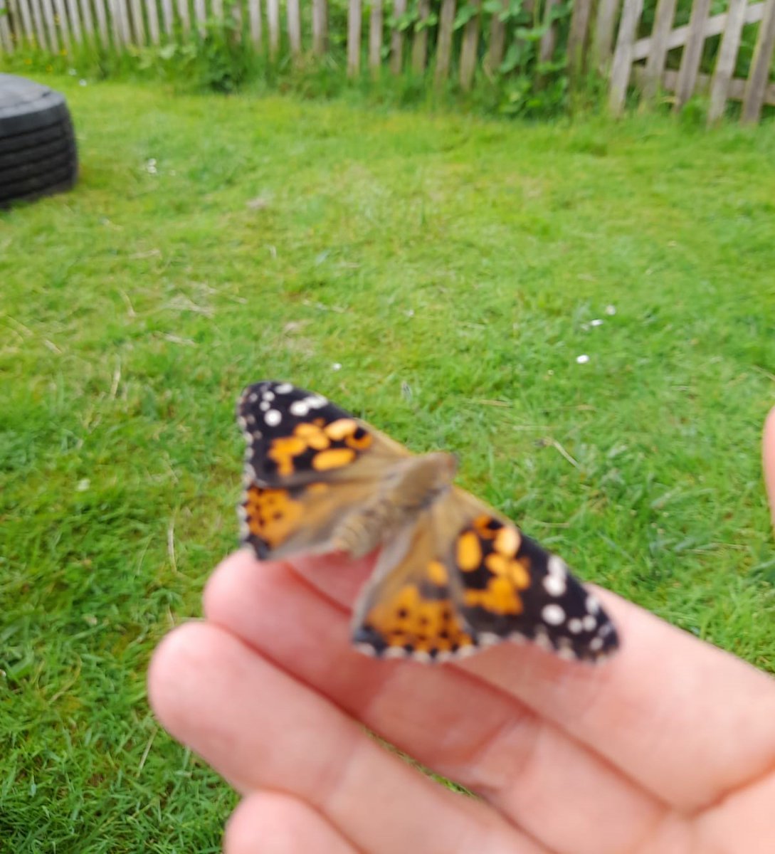 Partners in Learning Academy Trust tweet media