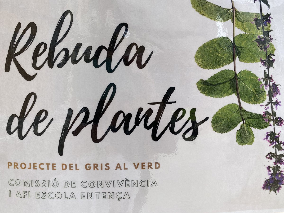 Escola Entença tweet media