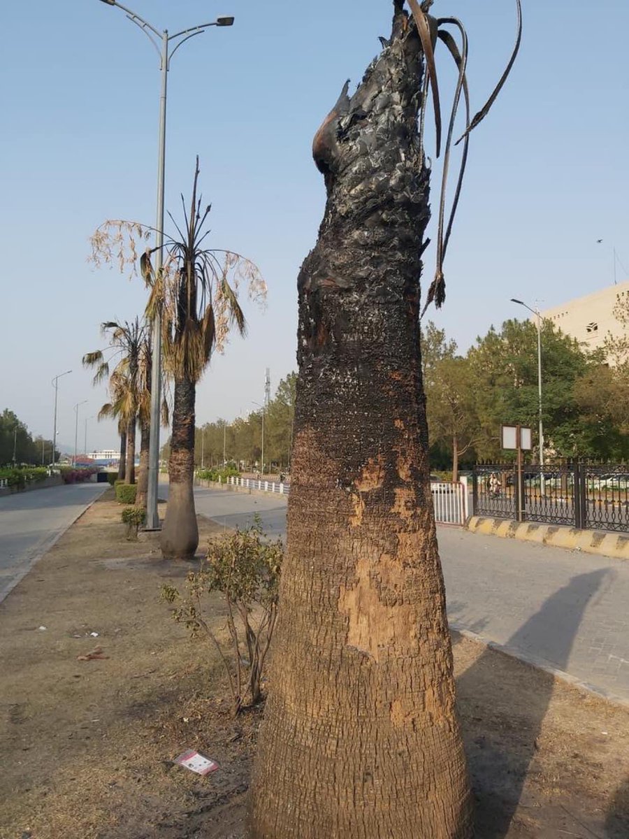 ilatif's tweet image. Don't worry - no one can do it better than #islamabadBurning #Firebombers