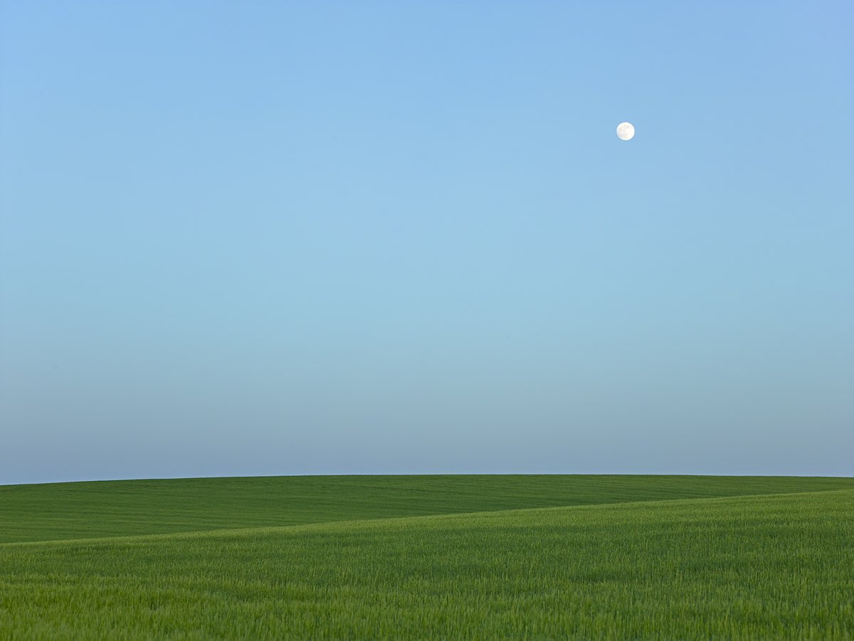 ghacon's tweet photo. Moonrising over barley field. https://t.co/K0Ht5oZHsO https://t.co/PcH4hRqkZH