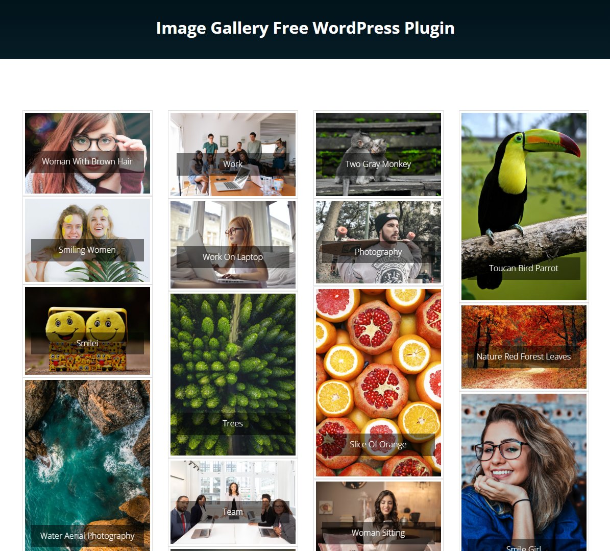 farazfrank777's tweet image. Image Gallery Plugin with lightbox preview
- Build for WordPress CMS
- Responsive gallery Layout
- Multiple Column Settings
- Image Caption
Download: wordpress.org/plugins/new-im…

#ImageGallery #LightboxPlugin #WordPress