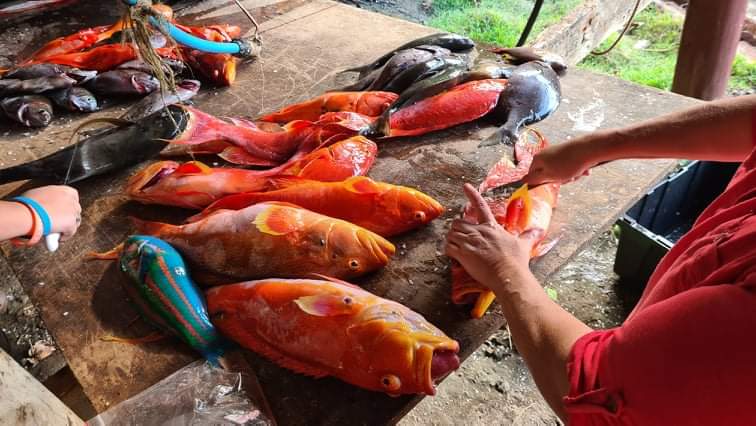 Proud Mama moment!🤗
 <a href="/torikawarrenpeu/">Torika Christian</a> took her boat out fishing today for the first time by herself. Came back in a couple of hours with more than enough fish to feed the family and share with friends.
#family  #pitcairn #farfarya
#Nanwe #FishingGirl