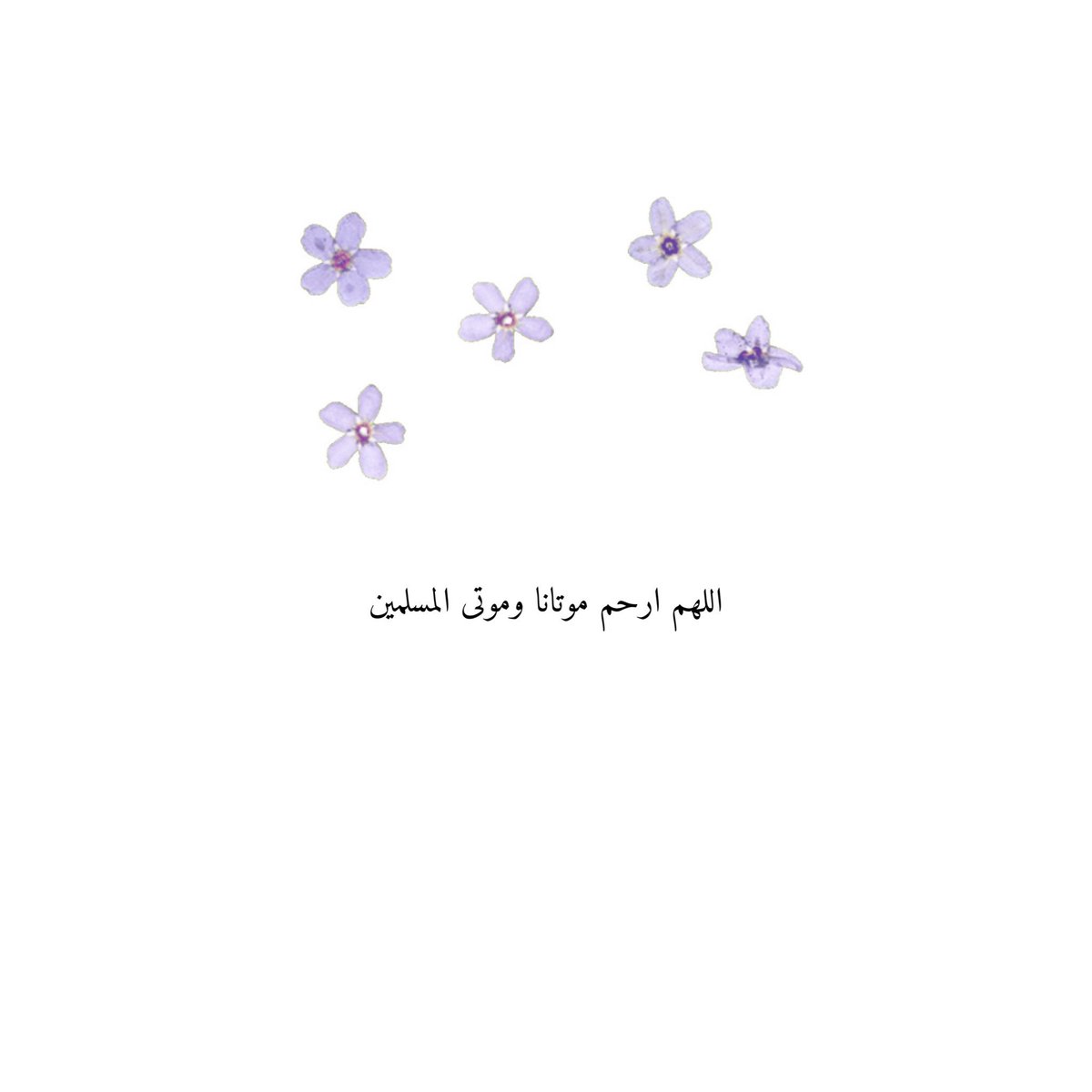 يوم الجمعة🌿🖤🖤.