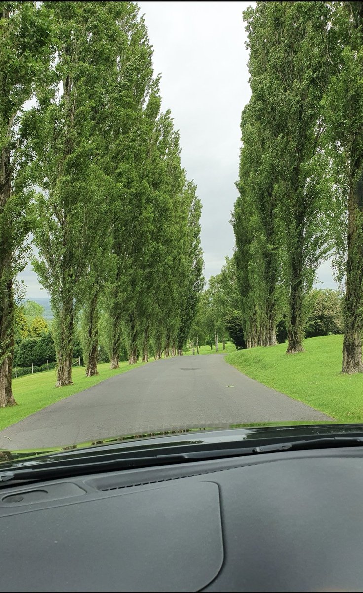 neal hulland tweet media