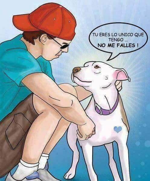 ImProAnimal's tweet photo. Dependen por completo de nosotros, no los abandones! 🙏🐾♥️ https://t.co/pu86NATHde