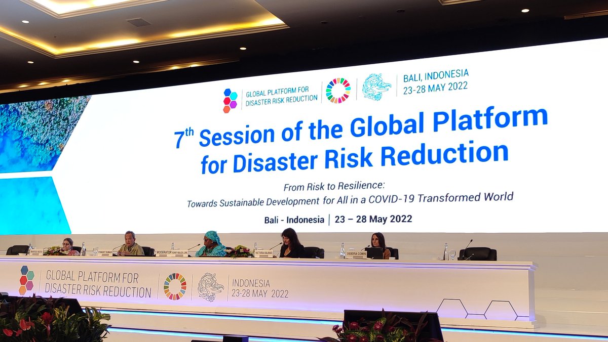 Disability-inclusive DRR Network tweet media