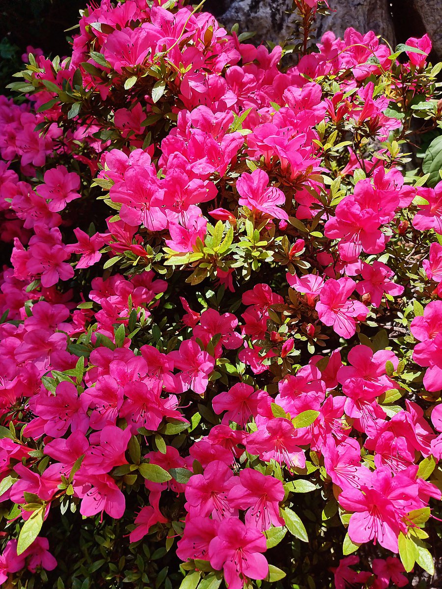 JinSeop Kim(辰燮 金) (@kimjinnam4) on Twitter photo 