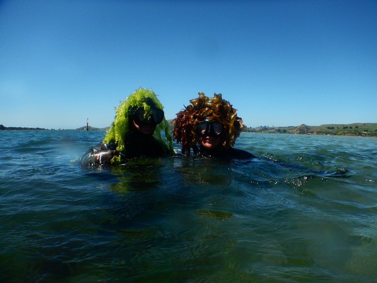 What’s on your mind? ⁦#phycologyfriday