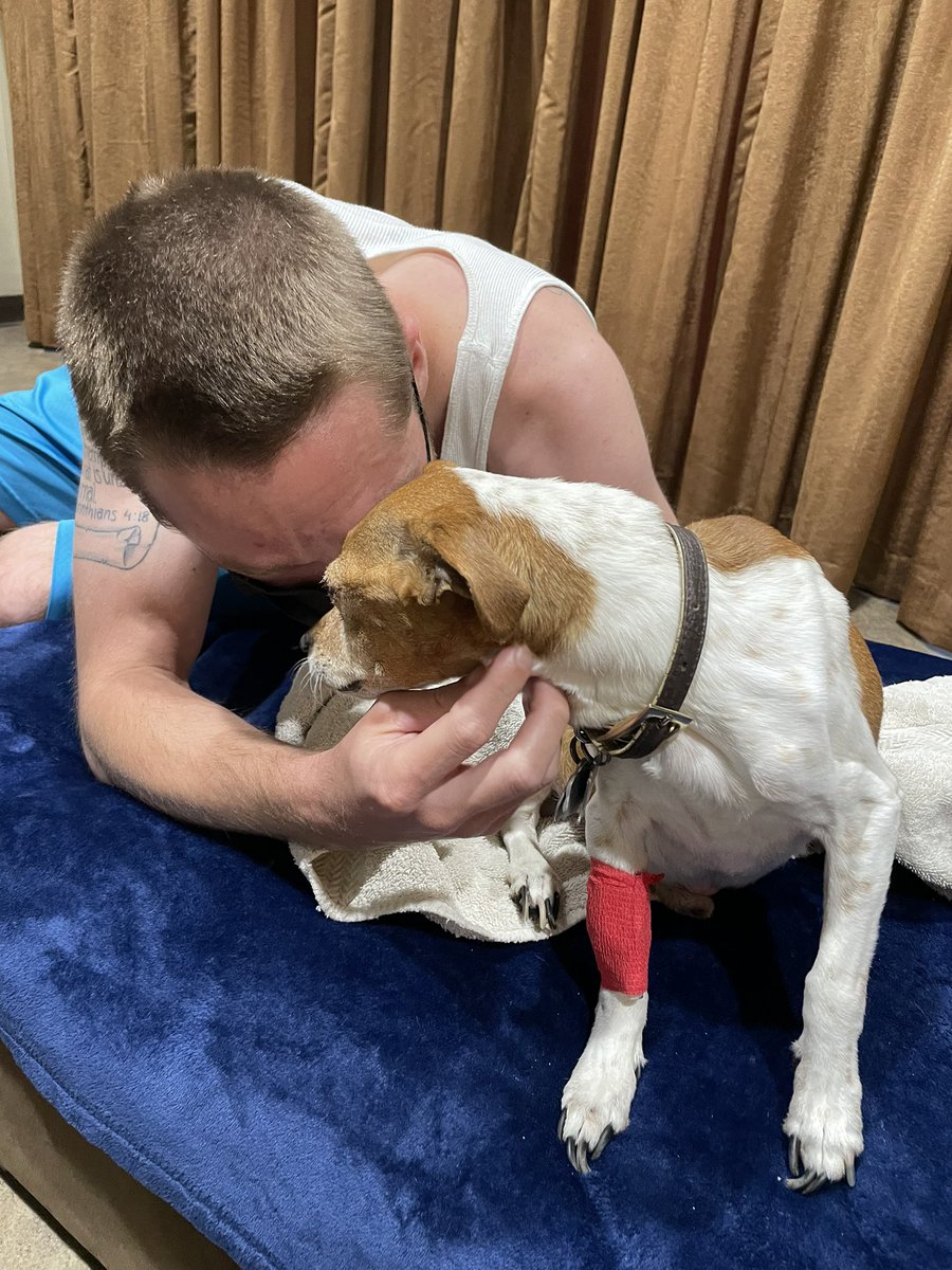 mamacitina's tweet photo. RIP to my beautiful old man Pumbaa. You were such a good boy who freaking loved his food so freaking much. I’m happy you are in doggy heaven with your best friend, Comet. I love you Pumbaa Lee https://t.co/Aub2UcDnHU