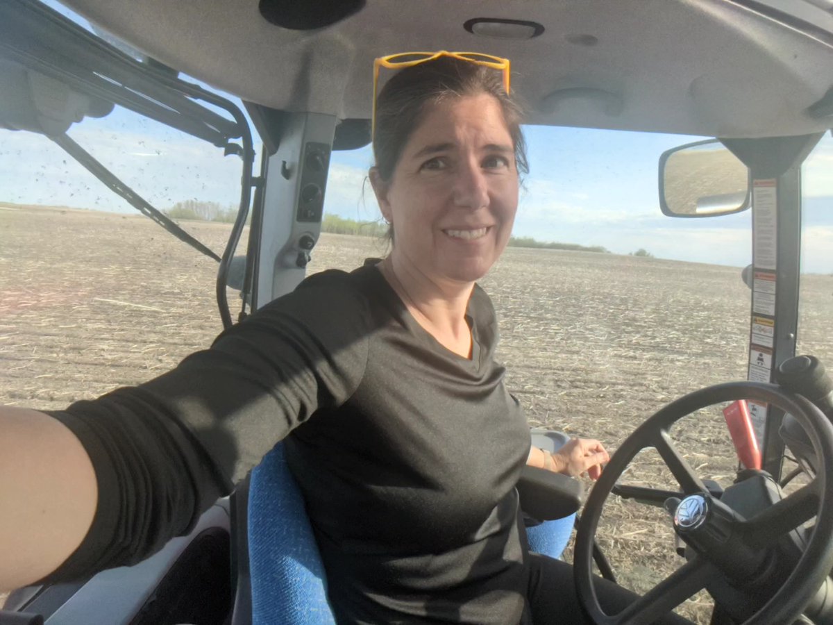 llittle33's tweet photo. We got the peas in - yay! #plant22 https://t.co/pjAXrqFXQh
