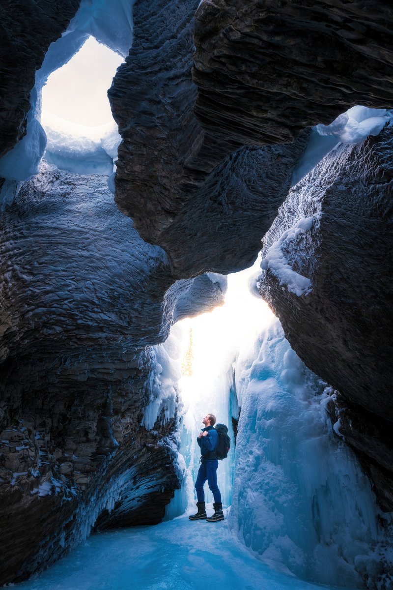 siralexanderj's tweet photo. wonders of nature  📷

@sarahlyndsay_  
@Timmboslice_  
@vincentschnabl  
@wolfmercury  

#NFT #photo #nature https://t.co/sEJHOyEqpR