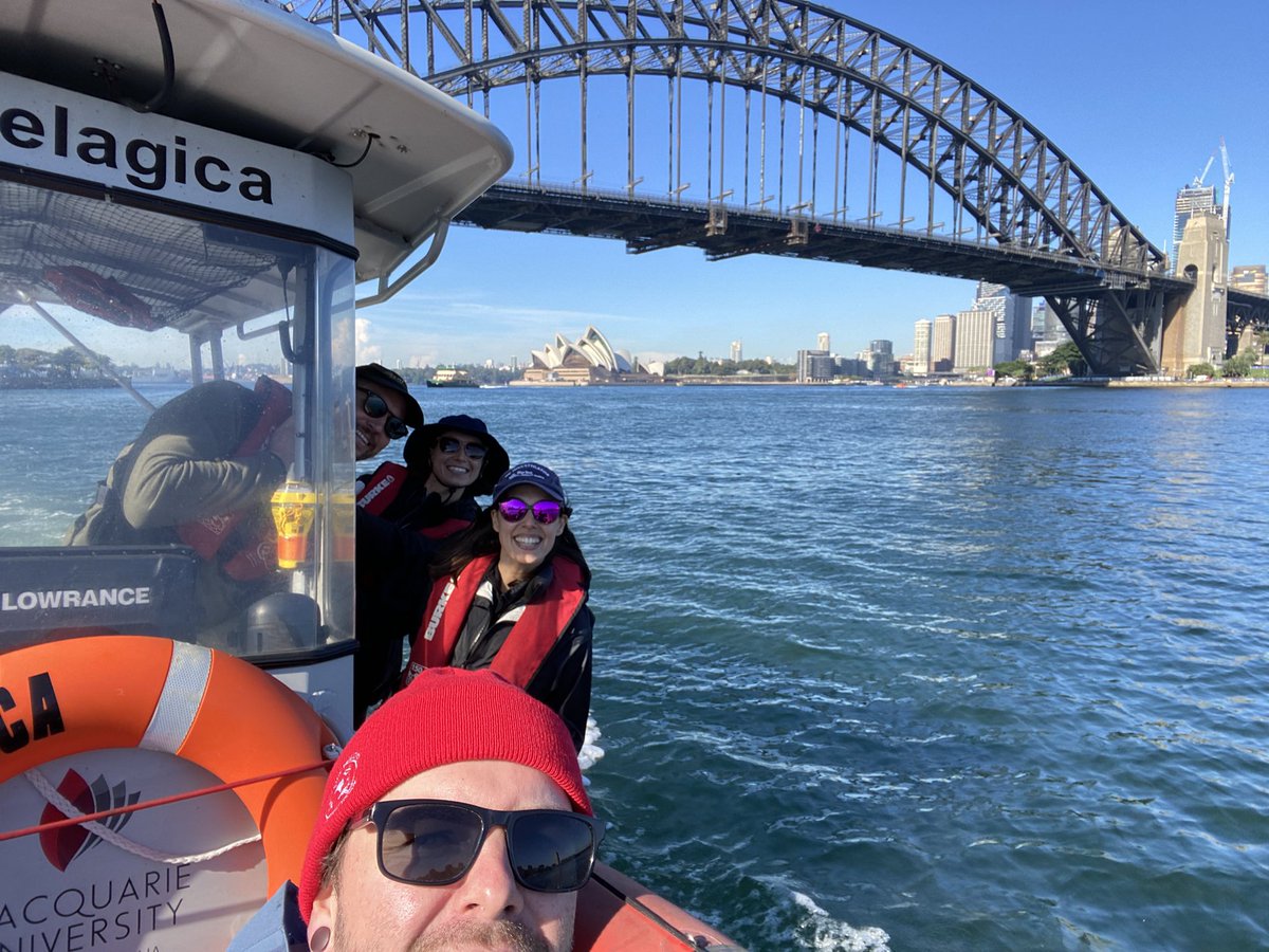 VanessaPirotta's tweet image. What a view! Field work win in #Sydney harbour today. Boat running well  🚤 💨 

#fieldworkwin #fieldwork #wildsydneyharbour @PitcherBen @joshreed_mq Vanessa Morris @Macquarie_Uni @mqnatsci #womeninstem #womeninscience #furseal #dolphin #wildoz
