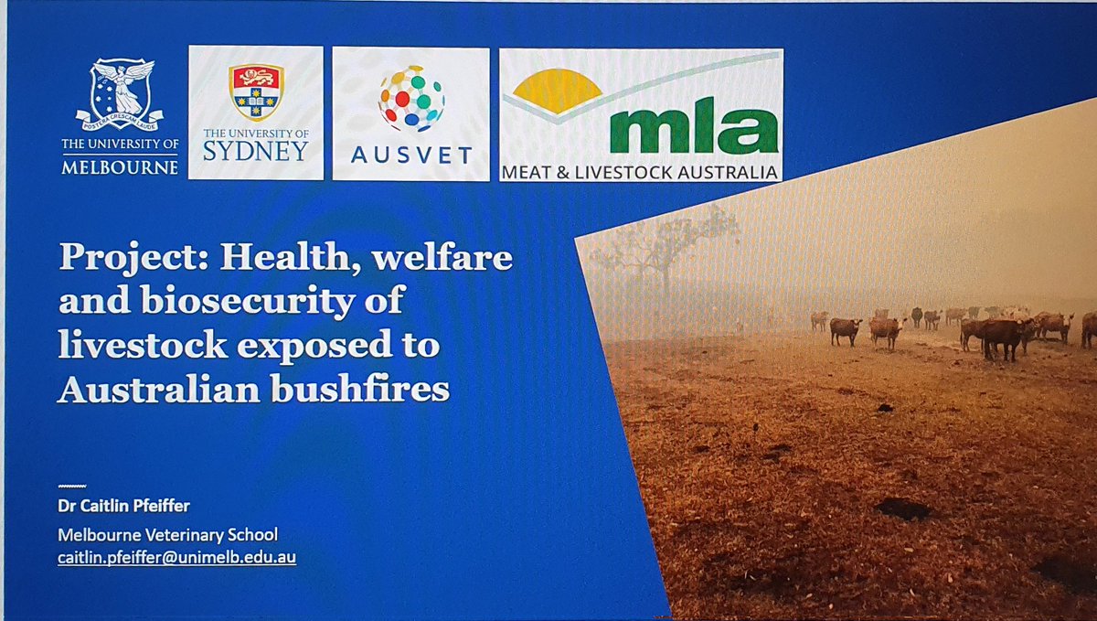CaitlinVetEpi's tweet photo. Sharing insights from our @meatlivestock funded work on #Bushfire at #AVAConference disaster workshop.
Look forward to our final project output, a Bushfire Preparedness &amp; Recovery Manual for #sheep and #beef #farmers being released later in 2022 @Sydney_Science @ausvetgroup https://t.co/YRGZnK6PTI