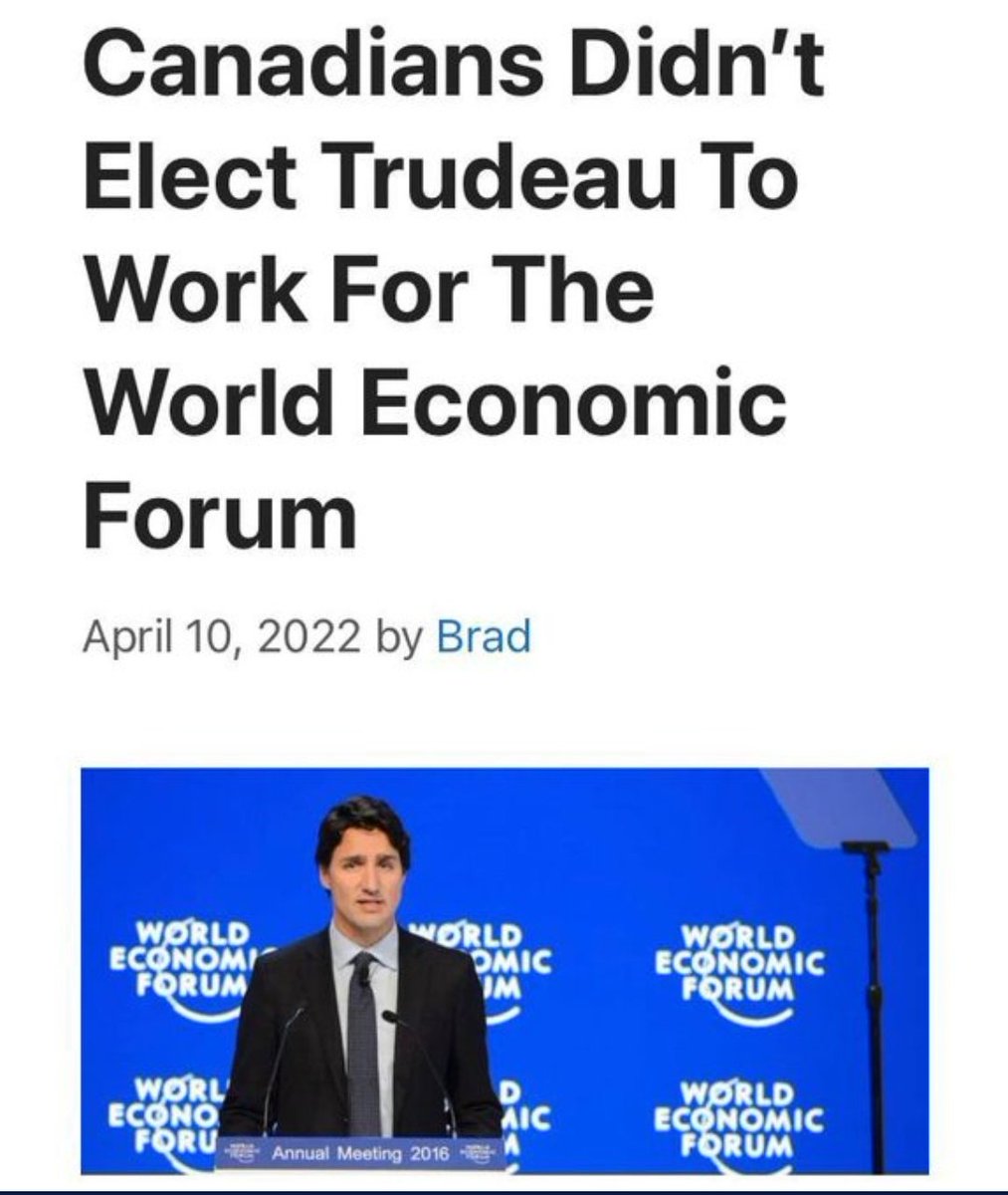 Michelle LA🇨🇦 tweet media