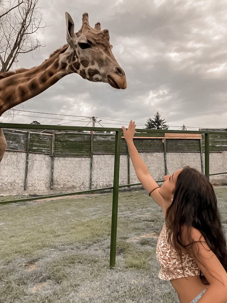 #faixasnozoo 🫶🏻