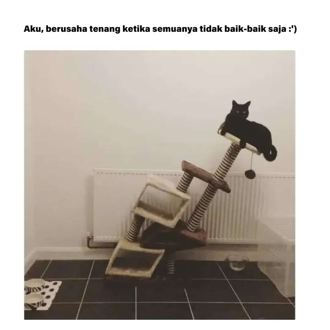 ErnaSoedarin's tweet photo. Stay calm gaes, stay calm~ 🙃 https://t.co/S8Bmwt0BdZ