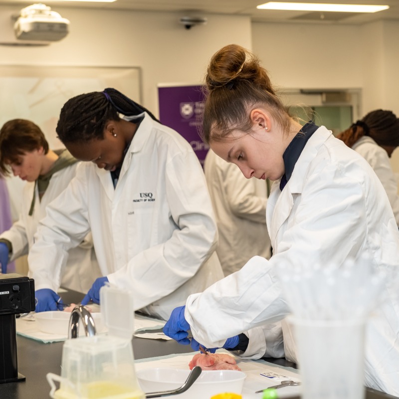 unisqaus's tweet photo. Aspiring doctors get a taste of medicine thanks to @UQMedicine’s Rural Clinical School and @usqedu 🩺

It's part of the Darling Downs - South West Medical Pathway, giving students the option to remain in the region during and after their medical training.

👇 The highlights!