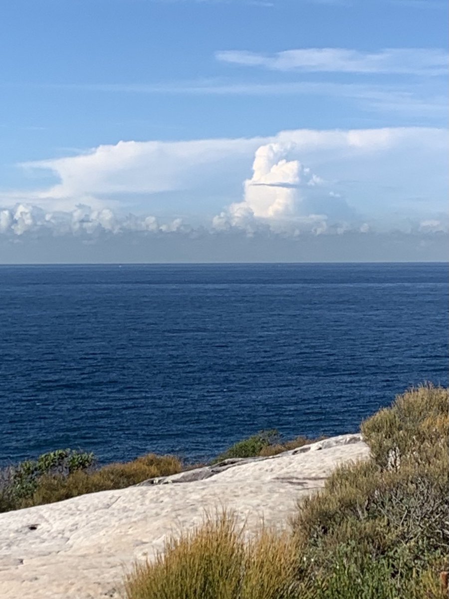 Tony Bowen (@tony__bowen) on Twitter photo 