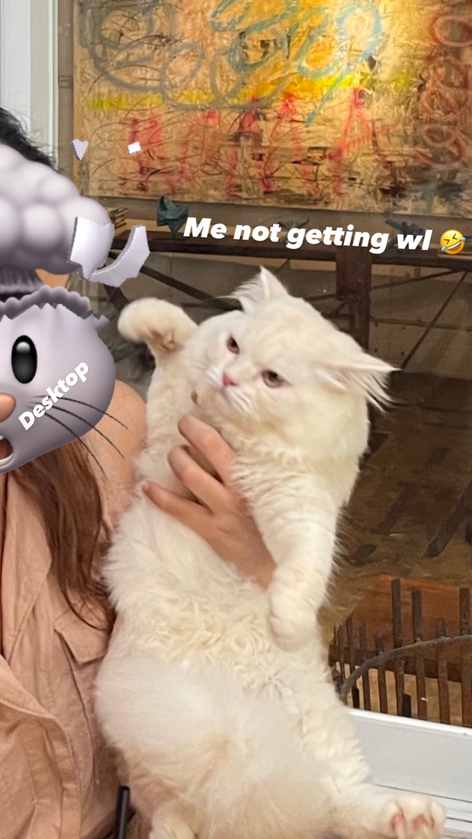 rscofieldNFT's tweet photo. @on9eth My life rn https://t.co/DuL2hOJiDM