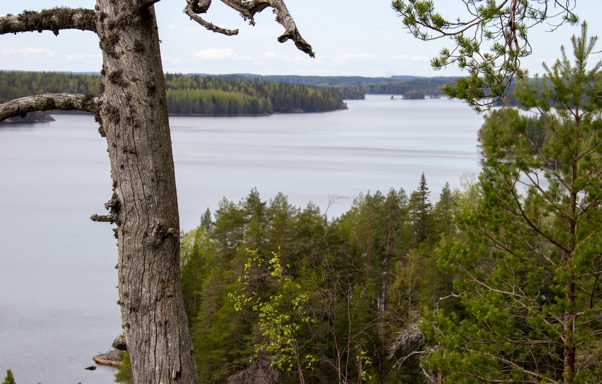 Saimaa UNESCO Global Geopark tweet media