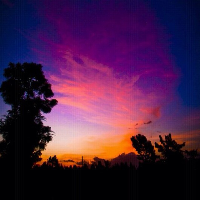 AardowolfA's tweet photo. Kenya is a country of magic that combines breathtaking views, stunning sunsets and incredible culture. There are some catchy itineraries that are hand-picked to have a great experience in your Kenya Excursion Safari.

#Kenyaexcursionssafari #Aardwolfafricasafaris https://t.co/ct2dLLOrEu