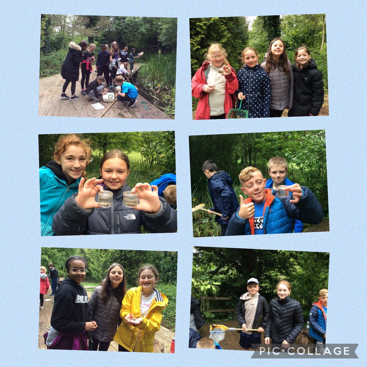 StPhilipsY6B22's tweet photo. In addition to the busy physical activities, we have explored the beautiful environment through pond dipping and sketching. #teamstphilips #stphilipsy6residential https://t.co/d7qqvlYlac