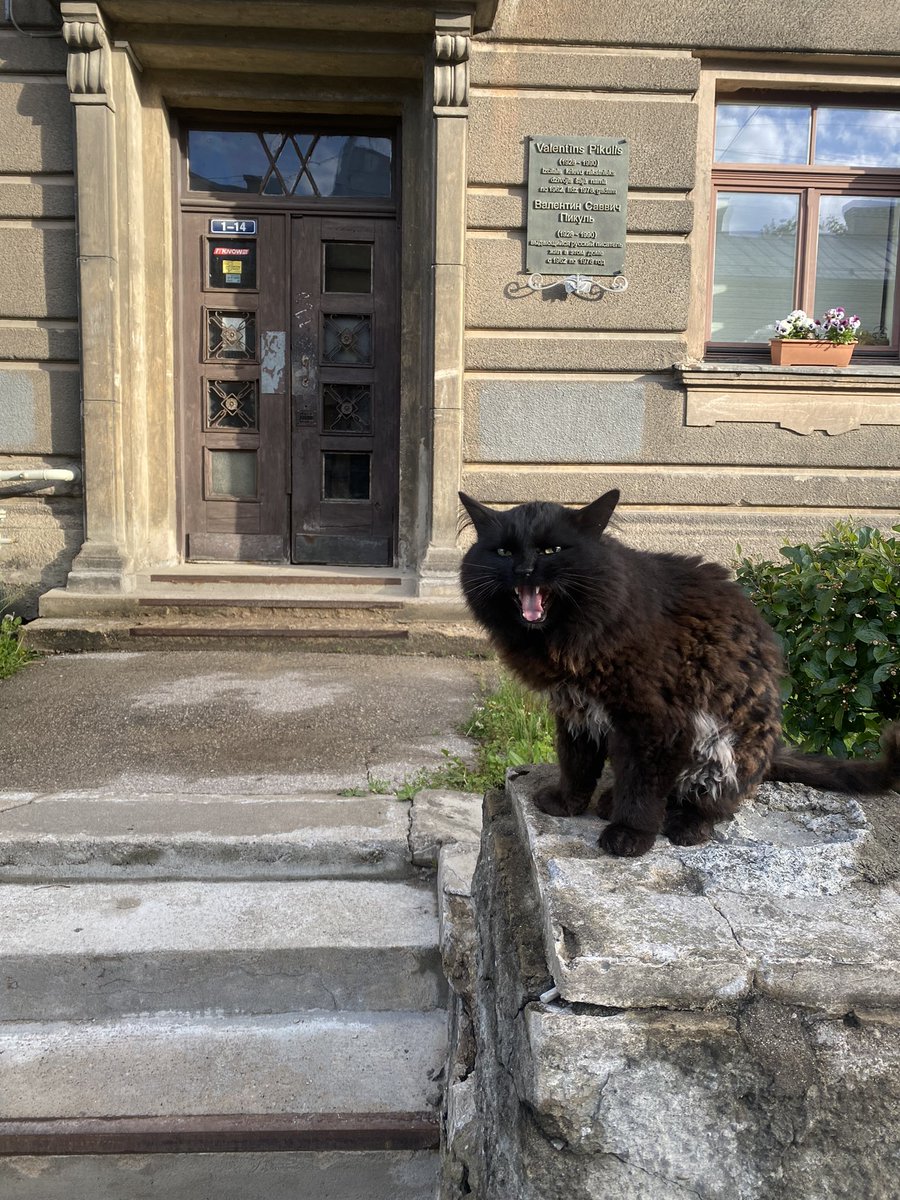 Ja kāds dzīvo Tērbatas 93/95 1-14 kāpņutelpā, ielaidiet šo kungu atpakaļ tur, kur viņš dzīvo. Vai nu izkritis pa logu vai aizlaidies, skaļi bļauj pie kāpņu telpas durvīm, ļoti nožēlo savu kļūdu!