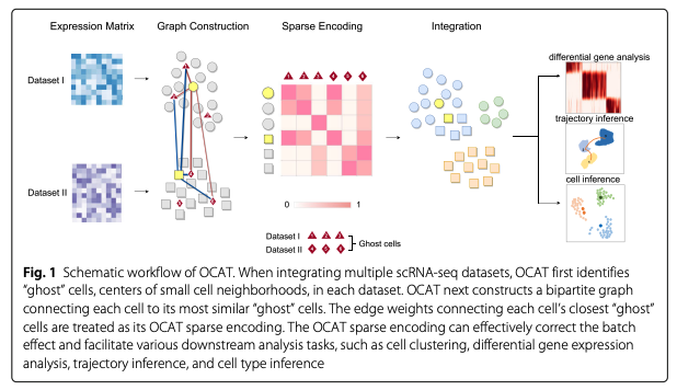 BioDecoded's tweet photo. One Cell At a Time (OCAT): a unified framework to integrate and analyze single-cell RNA-seq data | Genome Biology
https://t.co/Qbuj3Oj7J0

#Bioinformatics https://t.co/y96cIkQW7u