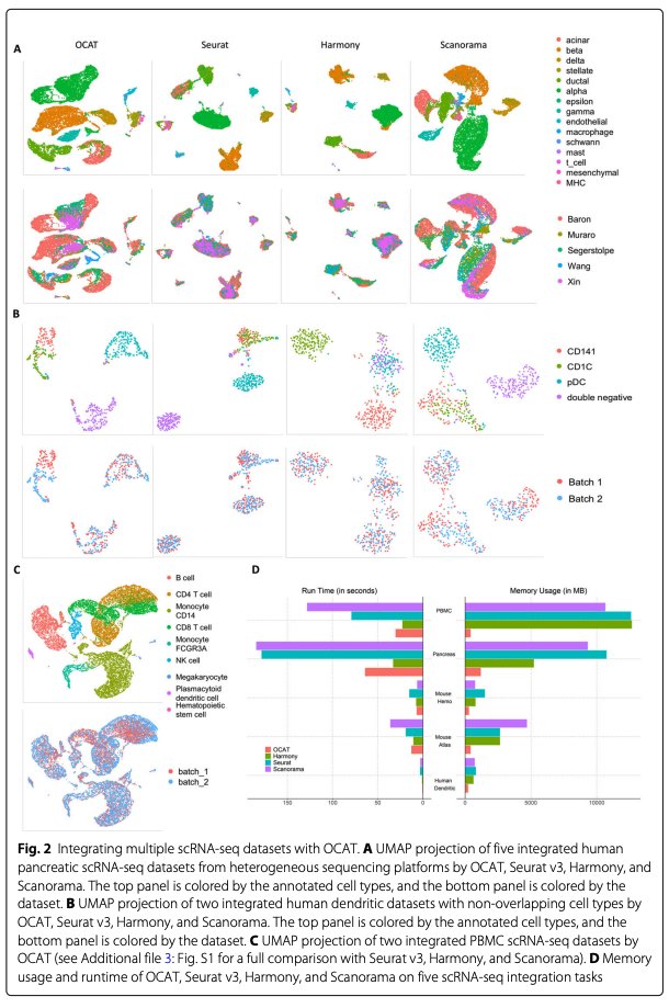 BioDecoded's tweet photo. One Cell At a Time (OCAT): a unified framework to integrate and analyze single-cell RNA-seq data | Genome Biology
https://t.co/Qbuj3Oj7J0

#Bioinformatics https://t.co/y96cIkQW7u