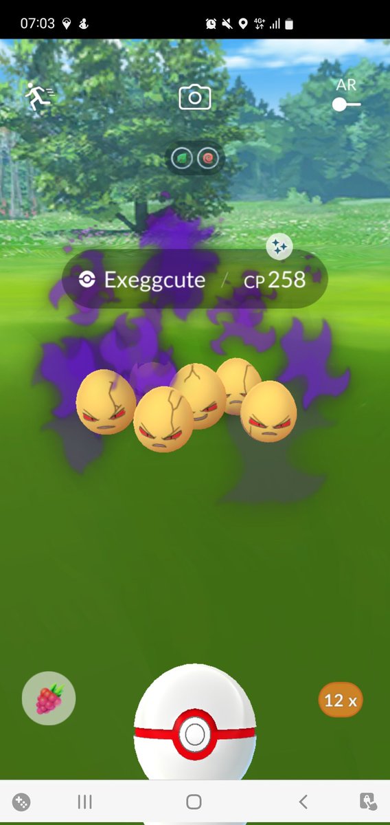 How do you like your eggs in the morning? #shinypokemon #shinyshadow